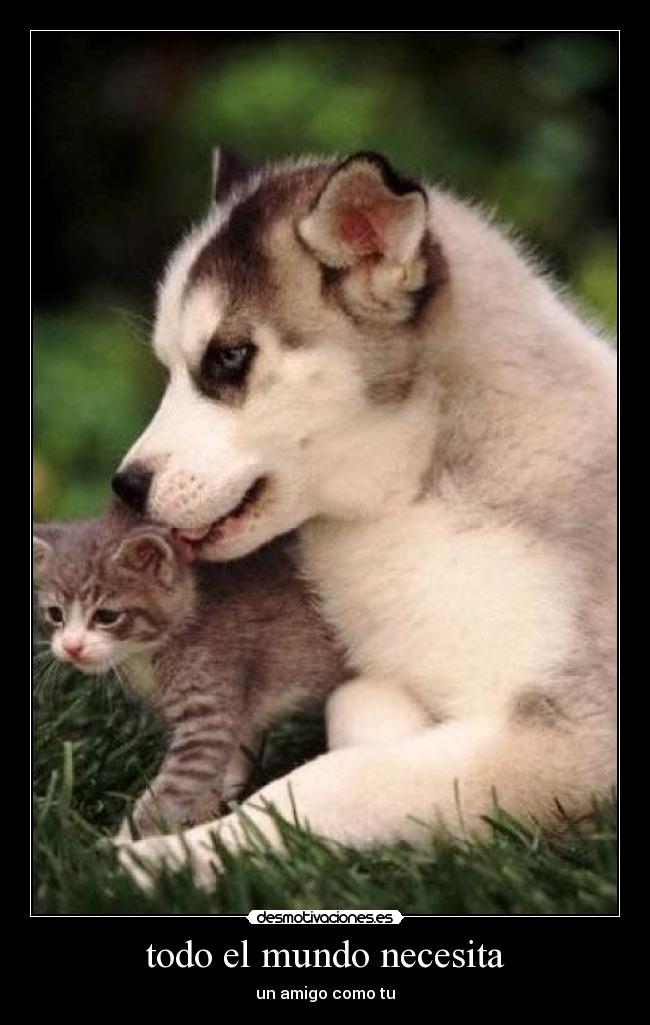 todo el mundo necesita - un amigo como tu
