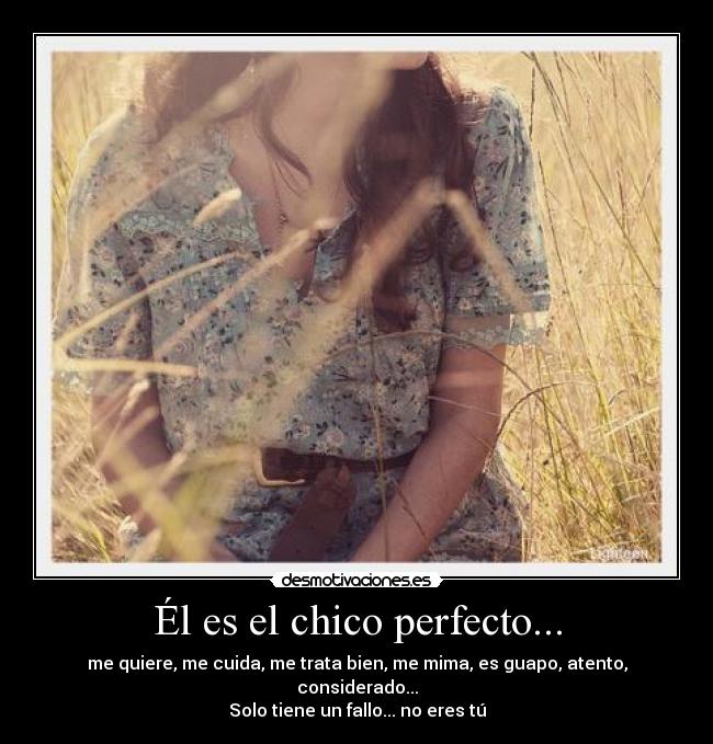 Él es el chico perfecto... - me quiere, me cuida, me trata bien, me mima, es guapo, atento, considerado...
Solo tiene un fallo... no eres tú