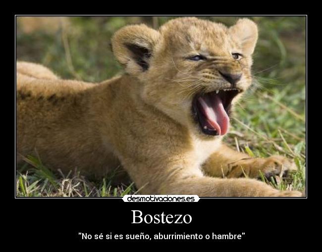 Bostezo - 