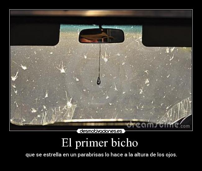 El primer bicho  - 