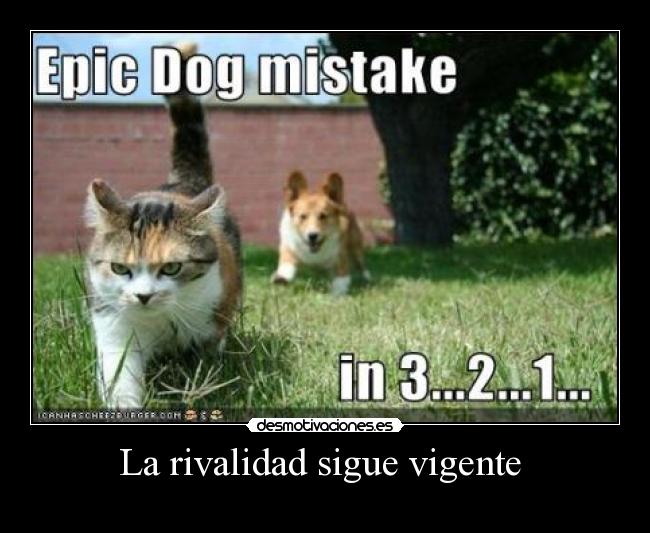 La rivalidad sigue vigente -