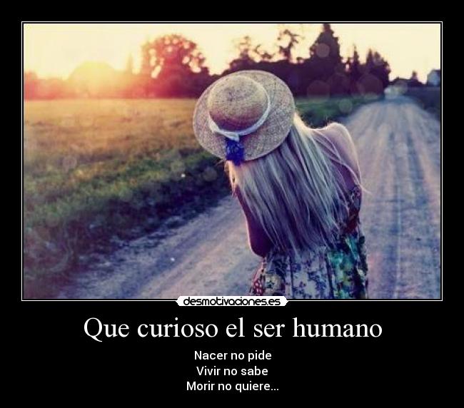 Que curioso el ser humano - 