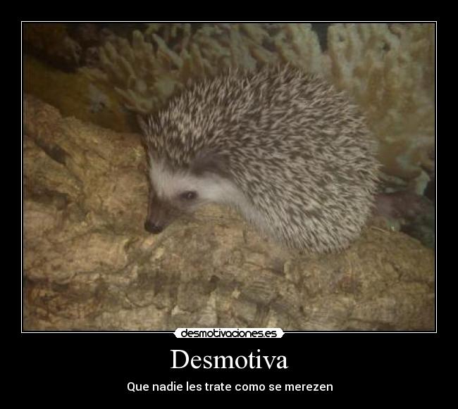 Desmotiva - 