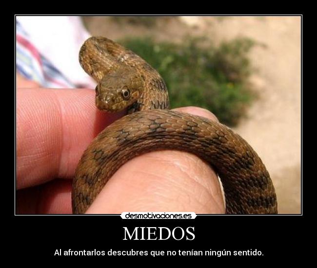 MIEDOS - Al afrontarlos descubres que no tenían ningún sentido.