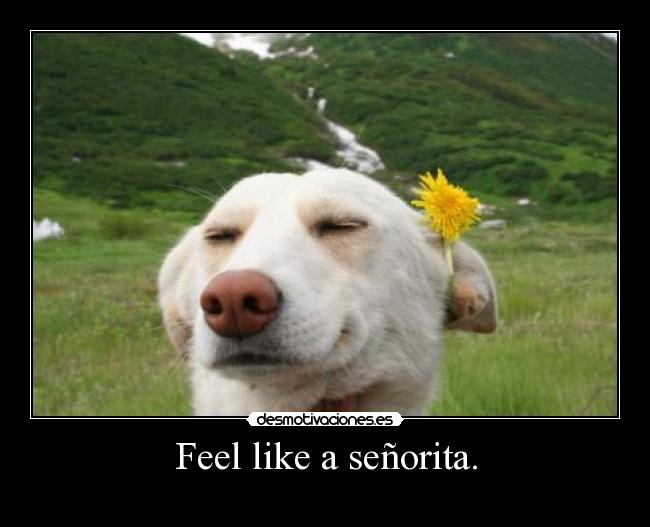 Feel like a señorita. -