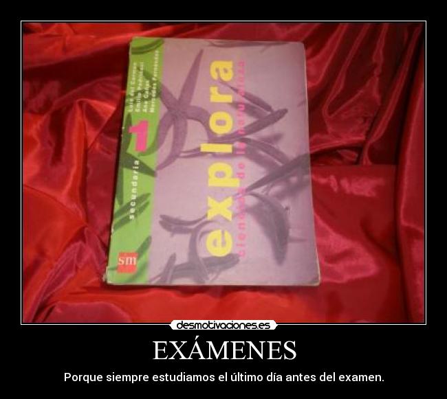 EXÁMENES -