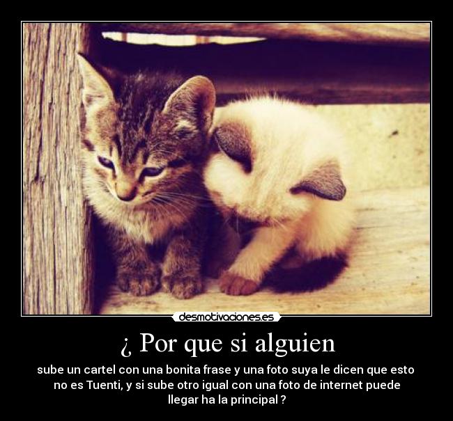 ¿ Por que si alguien -