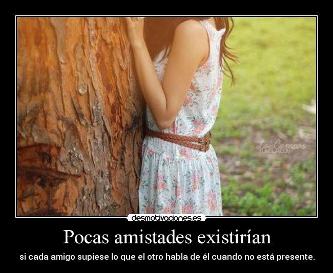 Pocas amistades existirían - 