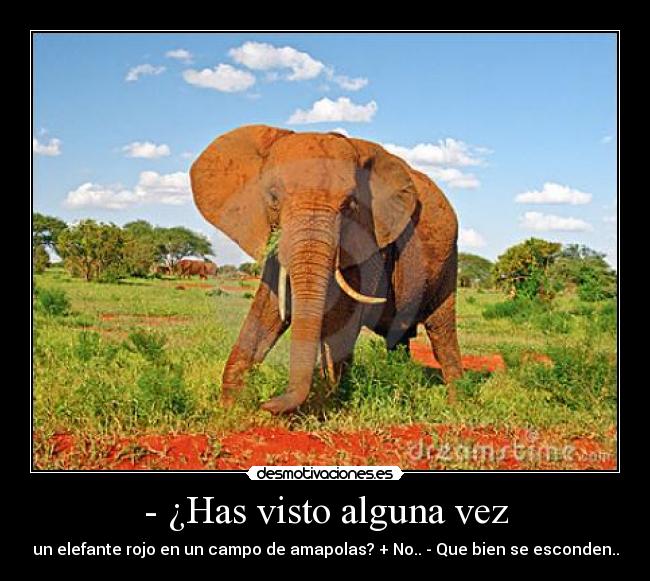 - ¿Has visto alguna vez - un elefante rojo en un campo de amapolas? + No.. - Que bien se esconden..