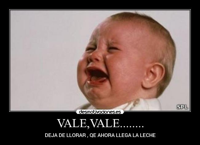 VALE,VALE........ - DEJA DE LLORAR , QE AHORA LLEGA LA LECHE