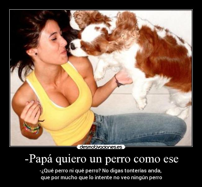 carteles tetas desmotivaciones