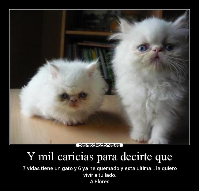 Y mil caricias para decirte que -