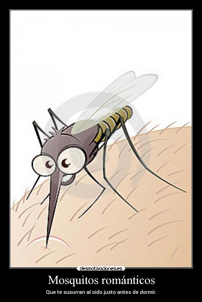 Mosquitos románticos - Que te susurran al oido justo antes de dormir.