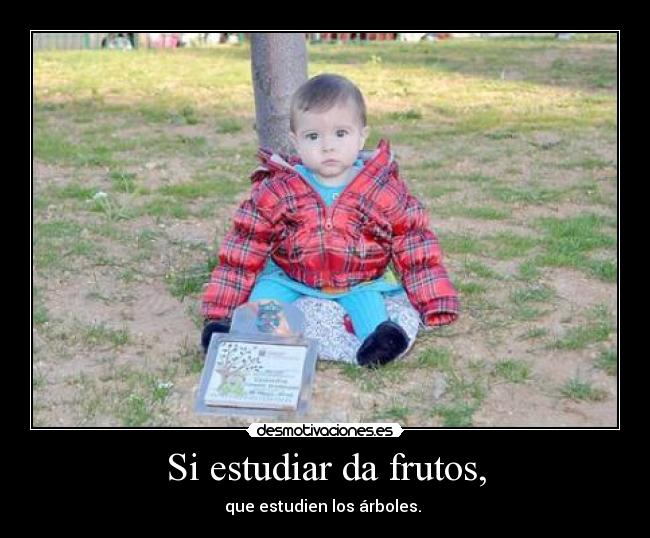Si estudiar da frutos, - 