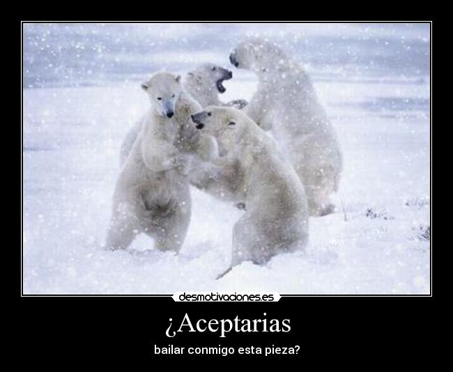 ¿Aceptarias -