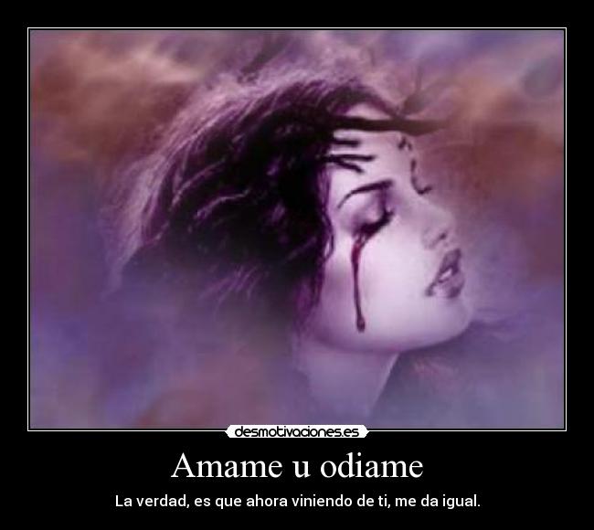 carteles amame odiame desmotivaciones