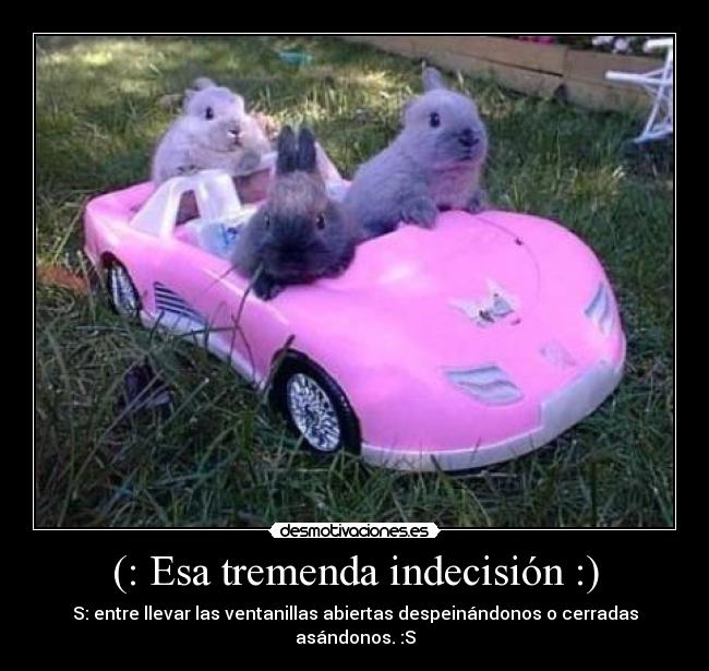(: Esa tremenda indecisión :) - S: entre llevar las ventanillas abiertas despeinándonos o cerradas asándonos. :S