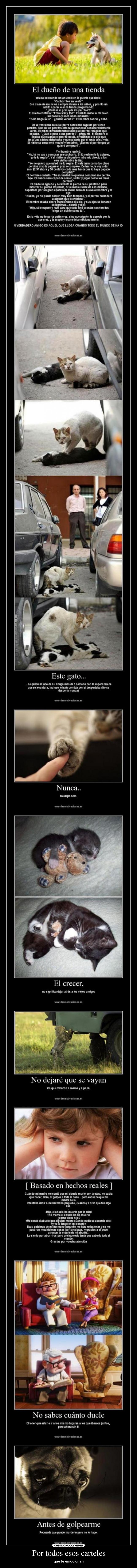 Por todos esos carteles - que te emocionan