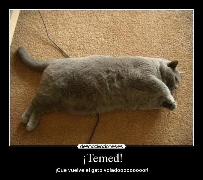 ¡Temed! -