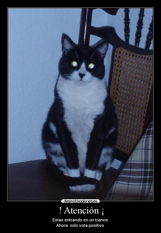! Atención ¡ - Estas entrando en un trance
Ahora solo vota positivo
