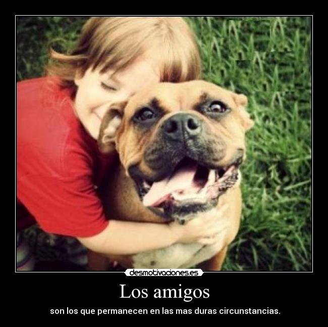 Los amigos - son los que permanecen en las mas duras circunstancias.