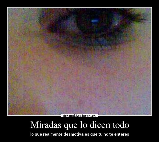Miradas que lo dicen todo - 
