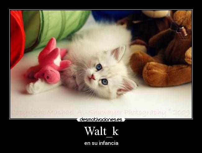 Walt_k - 