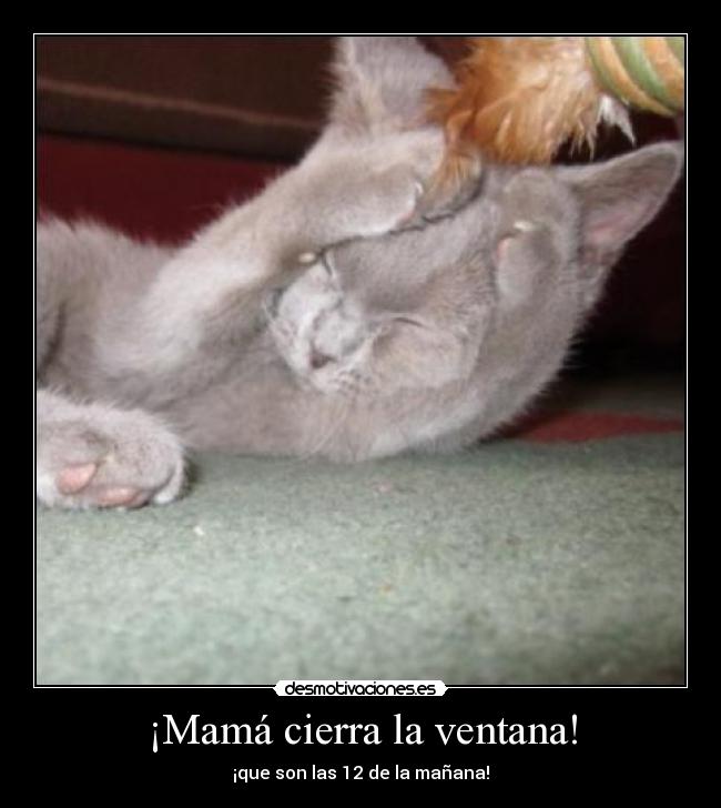 ¡Mamá cierra la ventana! -