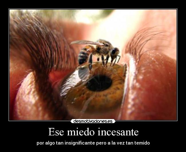 Ese miedo incesante -