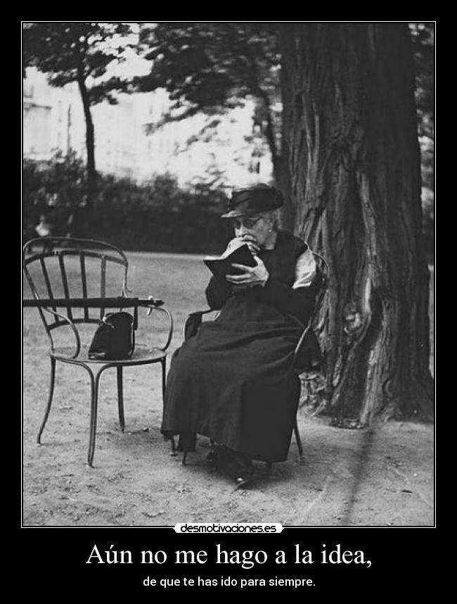 Aún no me hago a la idea, - de que te has ido para siempre.