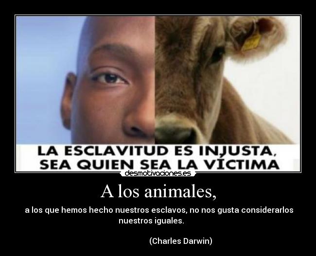carteles animales desmotivaciones