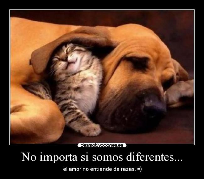 No importa si somos diferentes... - el amor no entiende de razas. =)