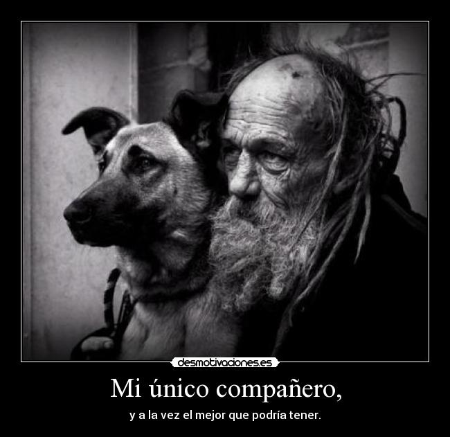 Mi único compañero, - y a la vez el mejor que podría tener.