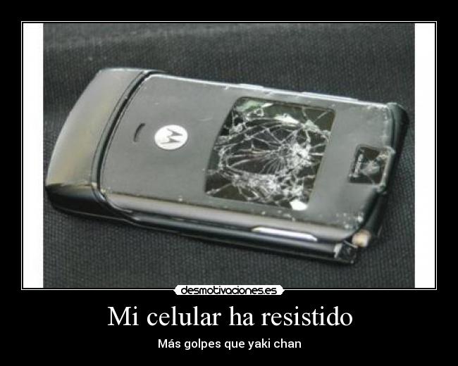 Mi celular ha resistido - 