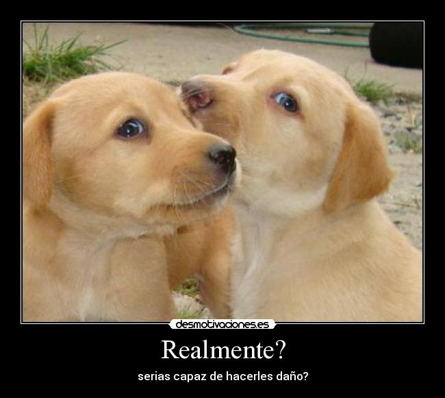 Realmente? -