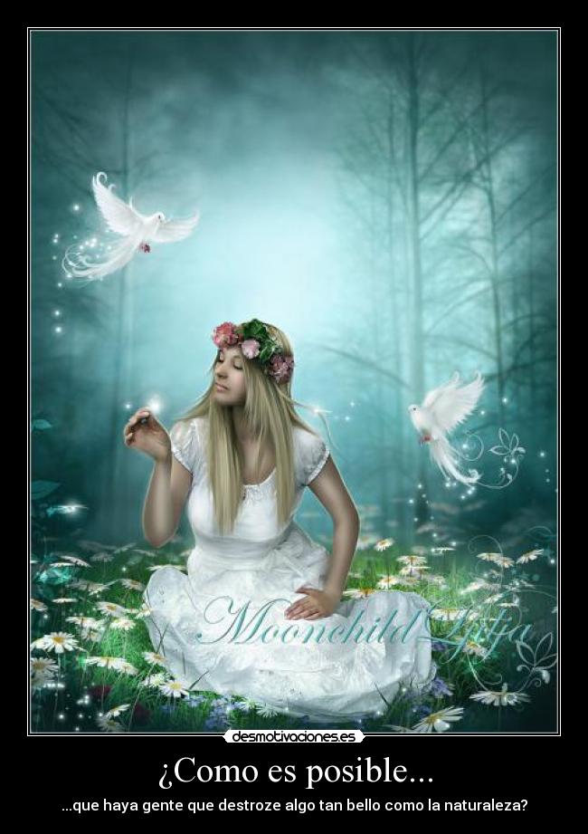 ¿Como es posible... - ...que haya gente que destroze algo tan bello como la naturaleza?