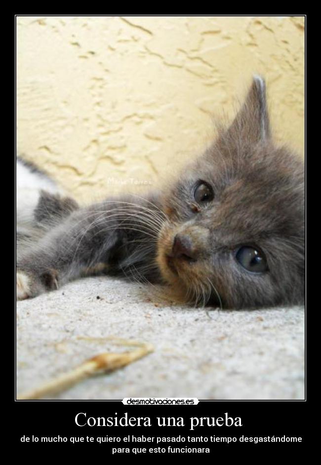 carteles amor desmotivaciones