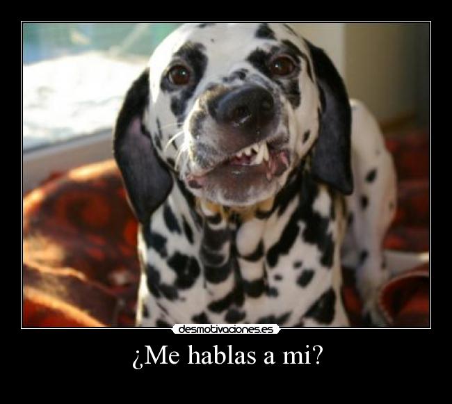 ¿Me hablas a mi? -