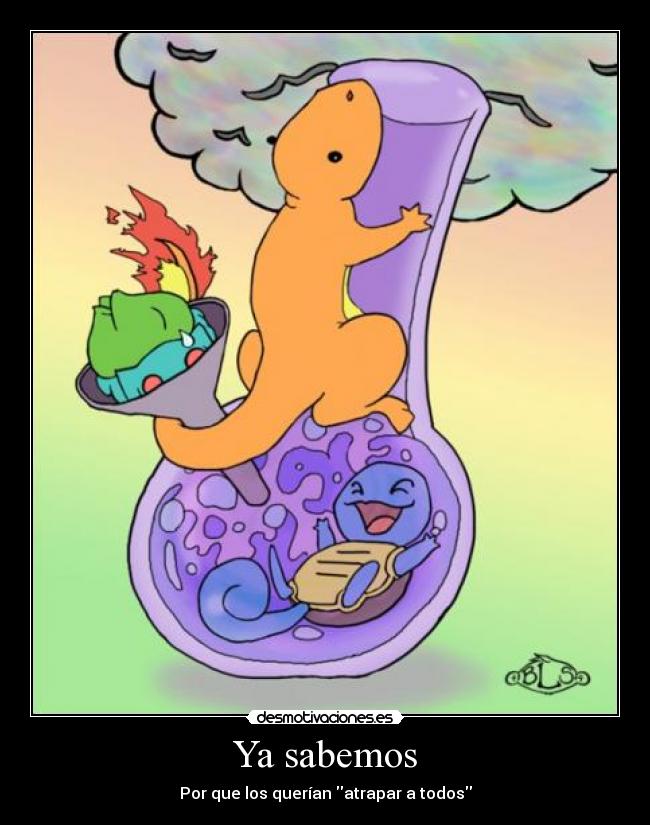 Ya sabemos - 