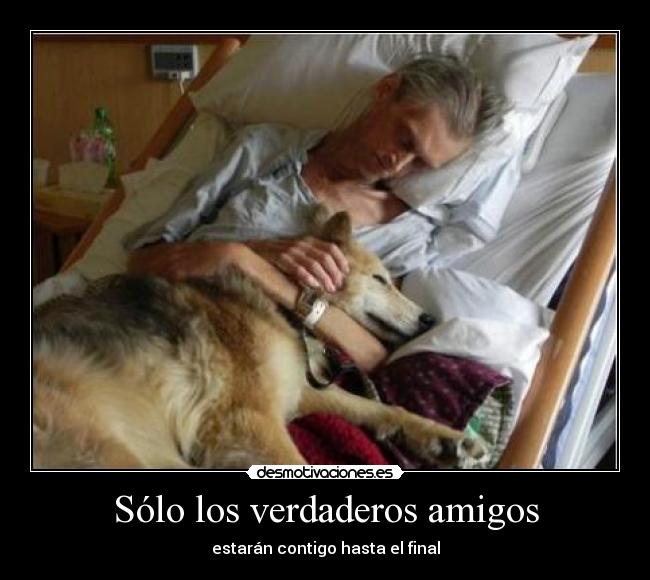 Sólo los verdaderos amigos - 