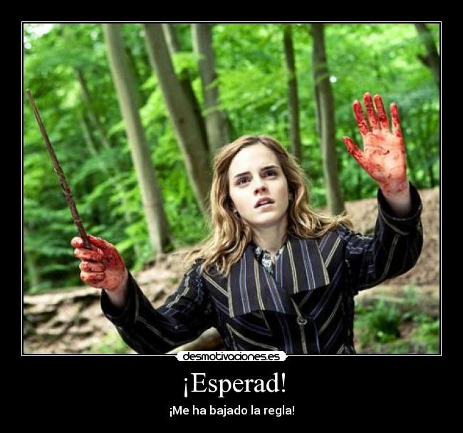 ¡Esperad! -