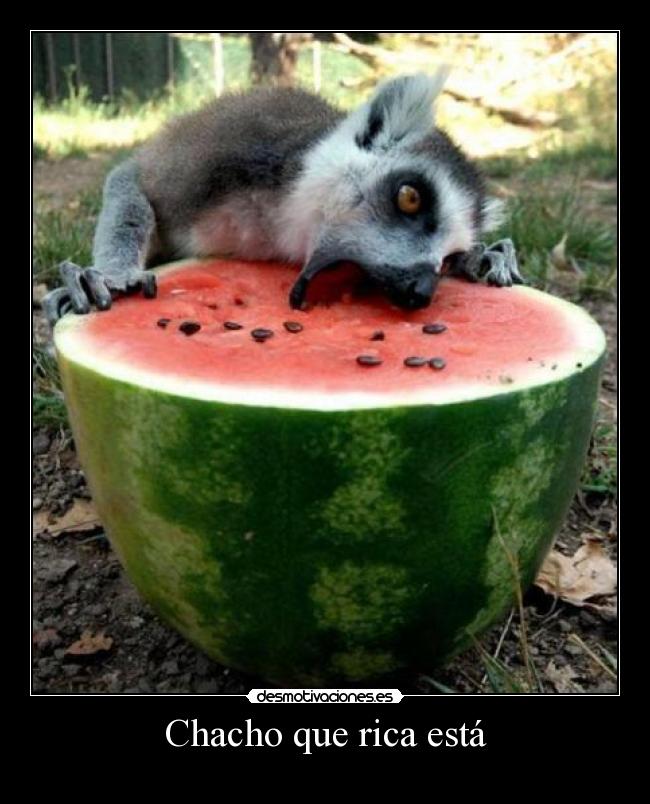 Chacho que rica está - 