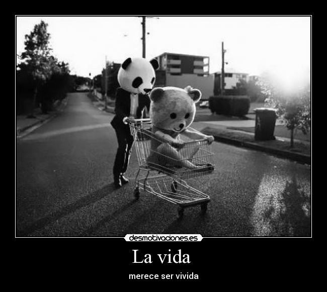 La vida -
