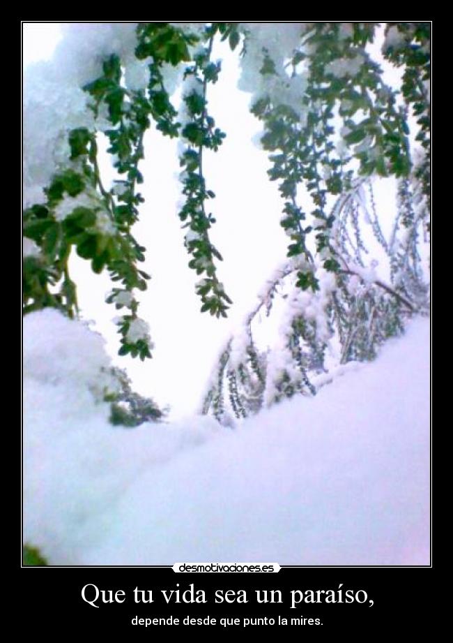 Que tu vida sea un paraíso, - depende desde que punto la mires.