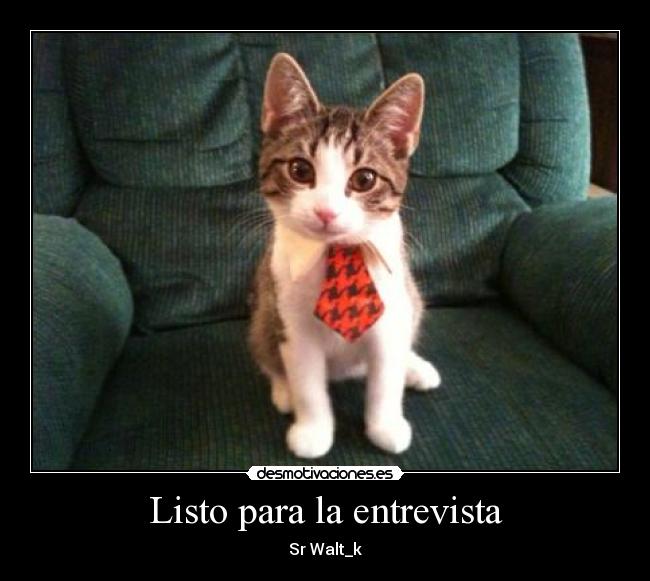 Listo para la entrevista - 