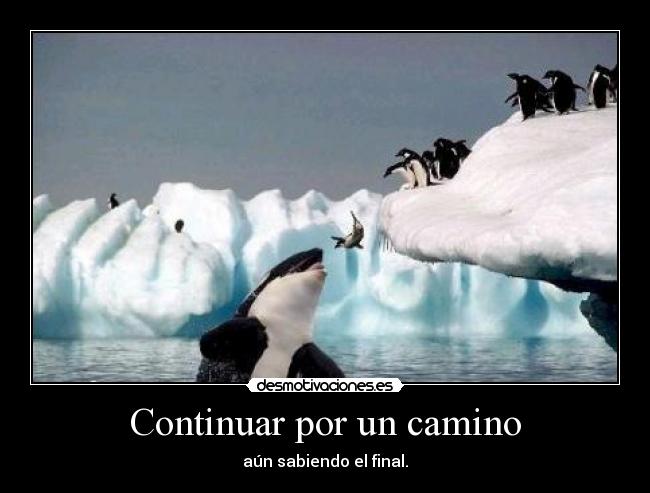 Continuar por un camino - 
