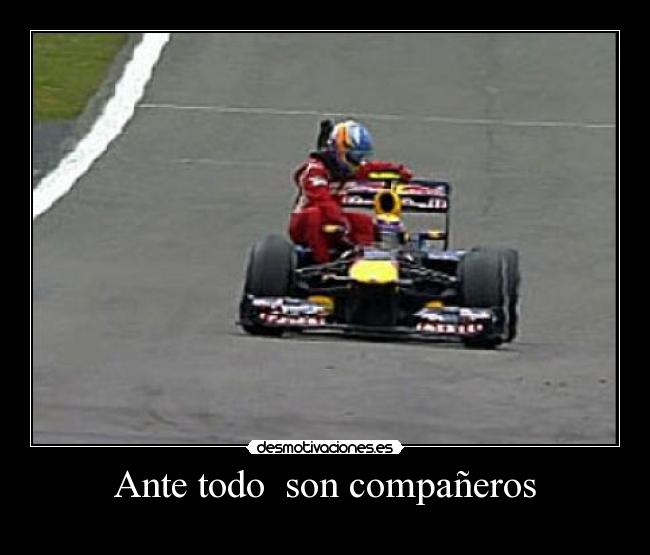 Ante todo  son compañeros - 