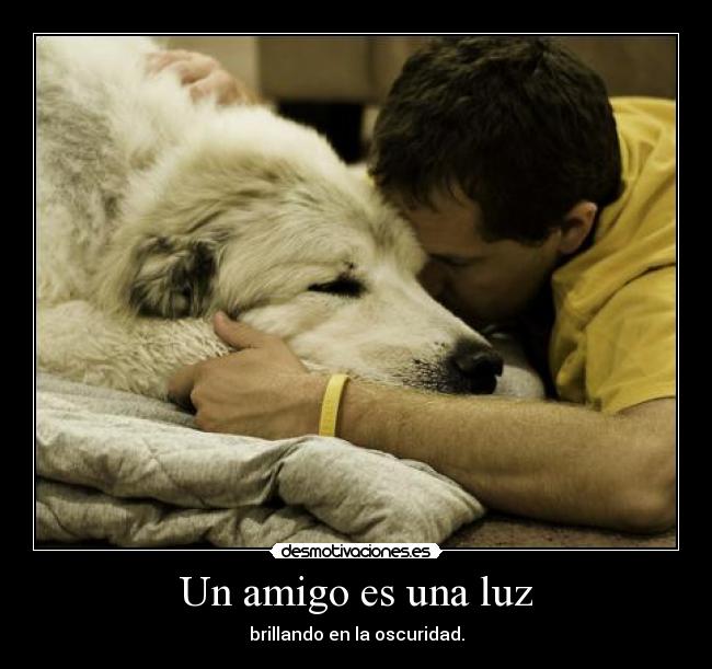 Un amigo es una luz - brillando en la oscuridad.