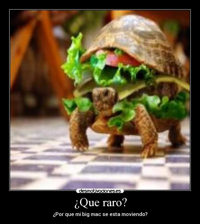 ¿Que raro? - ¿Por que mi big mac se esta moviendo?