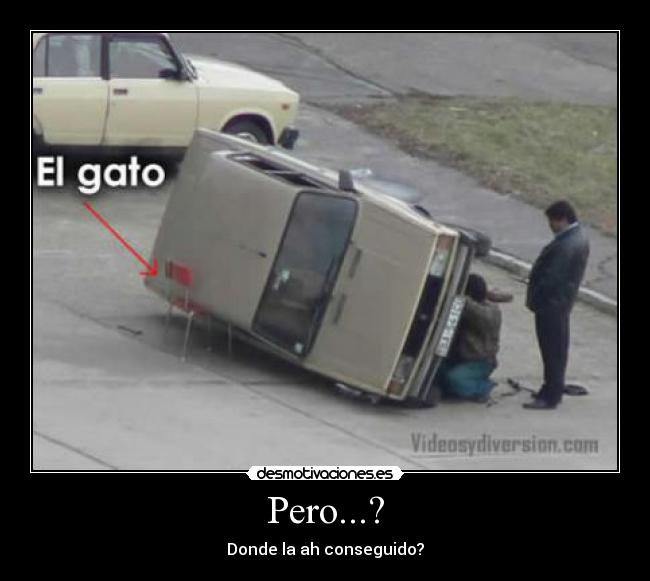 Pero...? - Donde la ah conseguido?